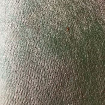 聚乙烯丙纶防水卷材